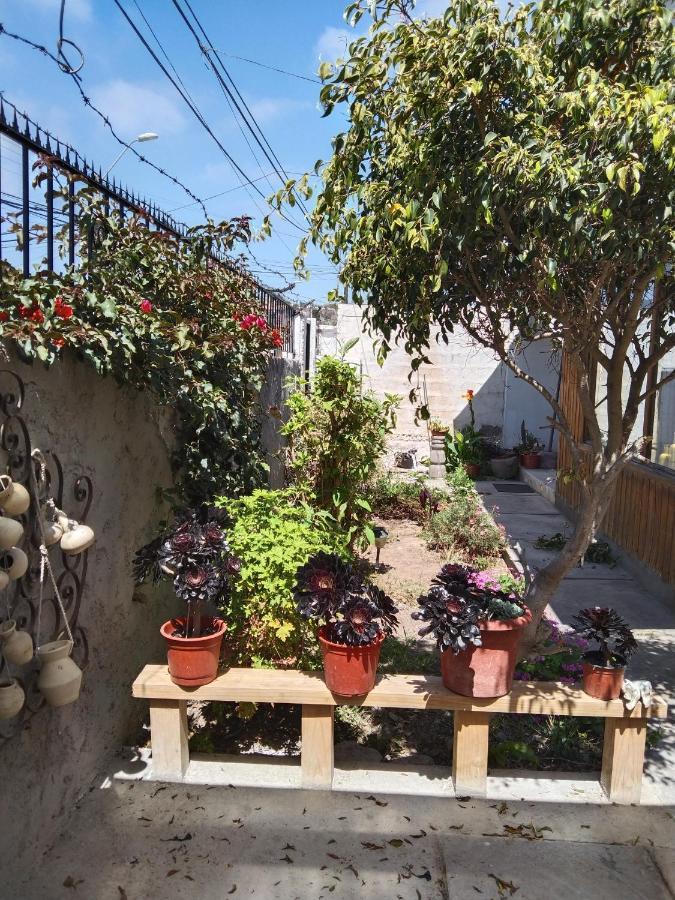 Casa Serena 513 La Serena Exteriér fotografie